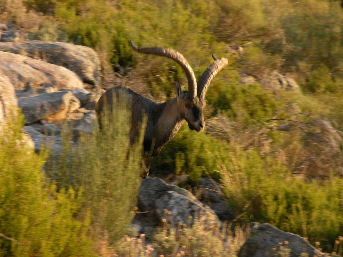 El Rincon De La Vera